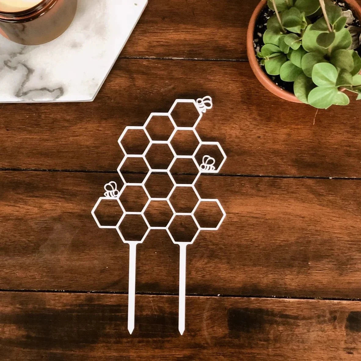  Beehive Houseplant Trellis