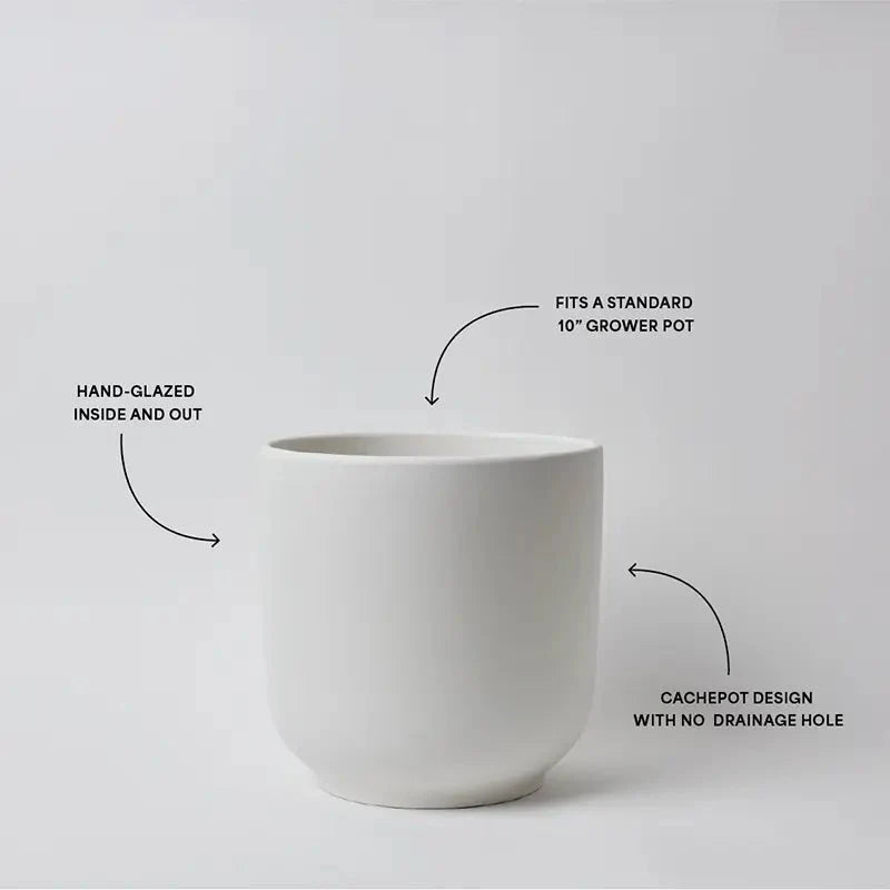  Bell Ceramic Planter – Curvy Indoor Houseplant Pot (6", 8", 10")