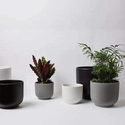  Bell Ceramic Planter – Curvy Indoor Houseplant Pot (6", 8", 10")
