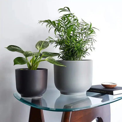  Bell Ceramic Planter – Curvy Indoor Houseplant Pot (6", 8", 10")