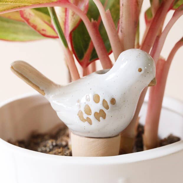  Bird Plant Self Watering Spike