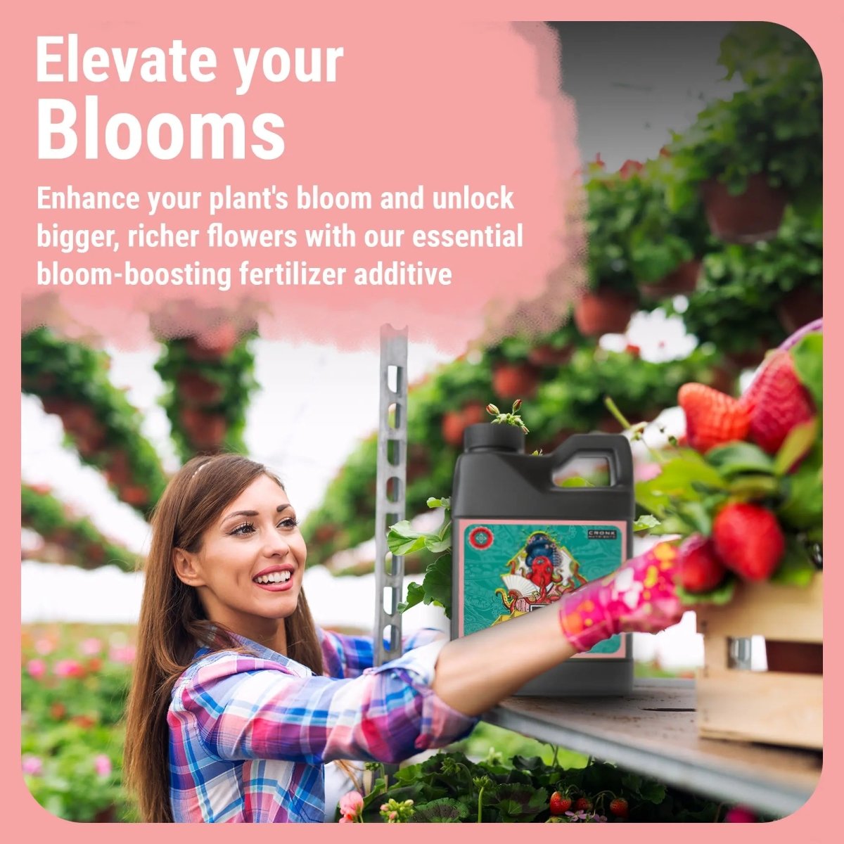  Bud Booster | Bigger Buds And Increased Yields
