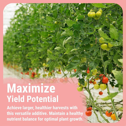  Bud Booster | Bigger Buds And Increased Yields