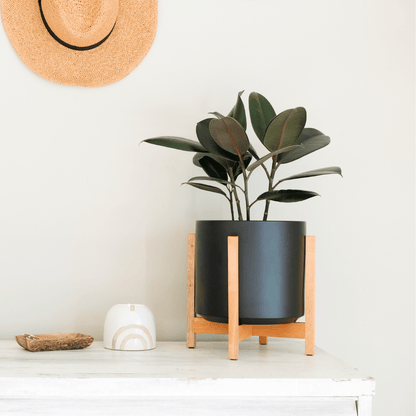  Ceramic Cylinder Planter By Solid Goods With Optional Mahogany Stand