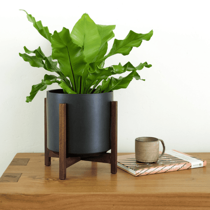  Ceramic Cylinder Planter By Solid Goods With Optional Mahogany Stand
