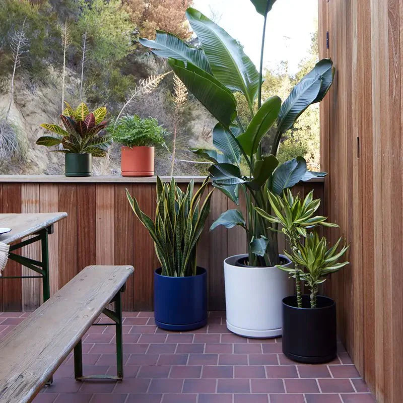  Ceramic Cylinder Planters With Saucer – Modern Indoor & Outdoor Pots In Multiple Sizes