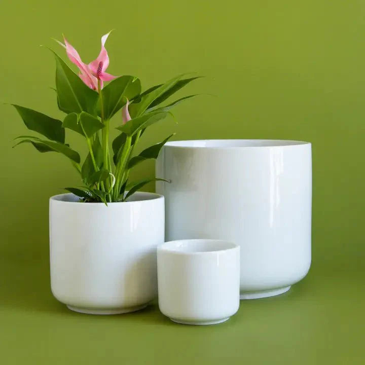  Charlie Planter | White