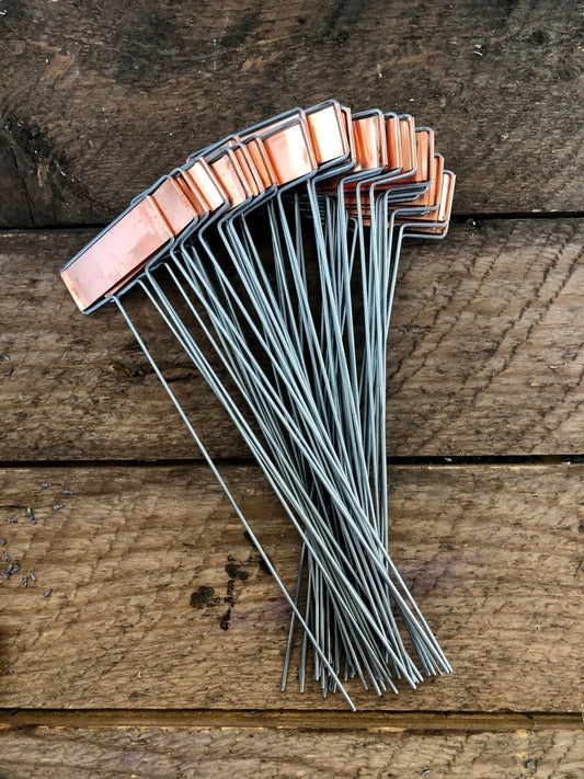  Copper Plant Tags - Garden Markers Set