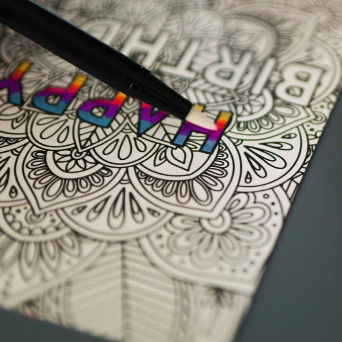  Dual Pens Coloring Kit
