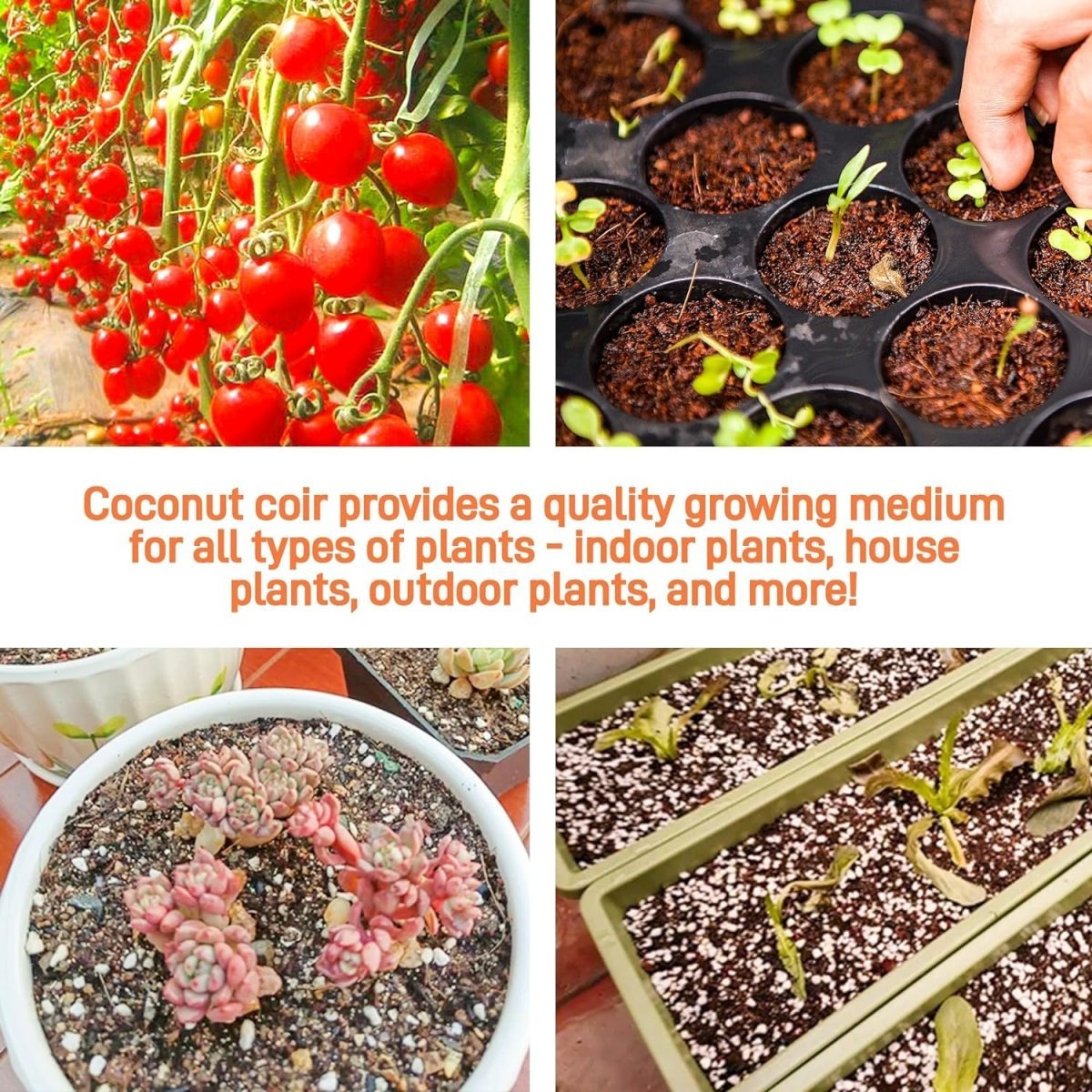  Eco Friendly Coco Coir - Organic Peat Moss