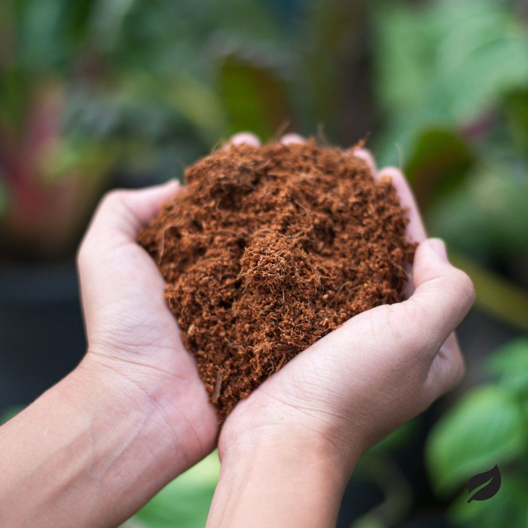  Eco Friendly Coco Coir - Organic Peat Moss