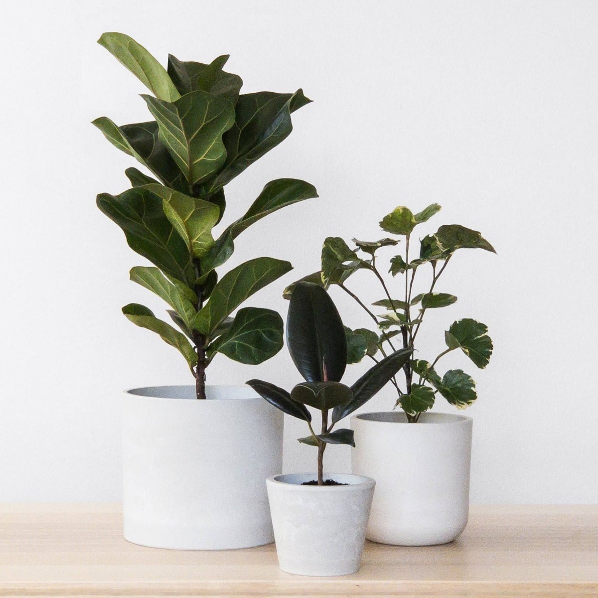  Eco-Friendly White Stone Planter Pot 4.75 Inch