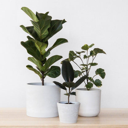  Eco-Friendly White Stone Planter Pot 4.75 Inch