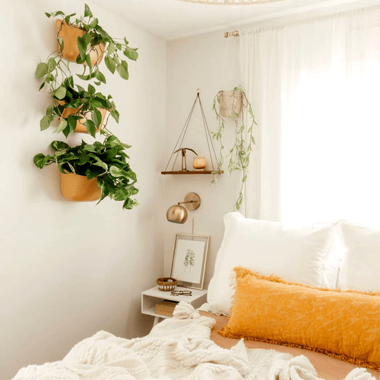  Eco Wall Planter By WallyGrow – Easy Vertical Garden For Indoors (Mustard)