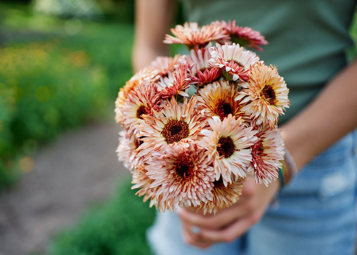  Edible Petals - Seed Collection