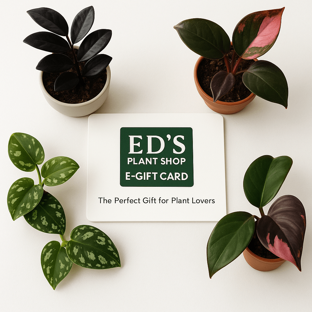  Ed's Plant Shop E-Gift Card