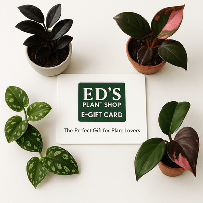 Ed's Plant Shop E-Gift Card