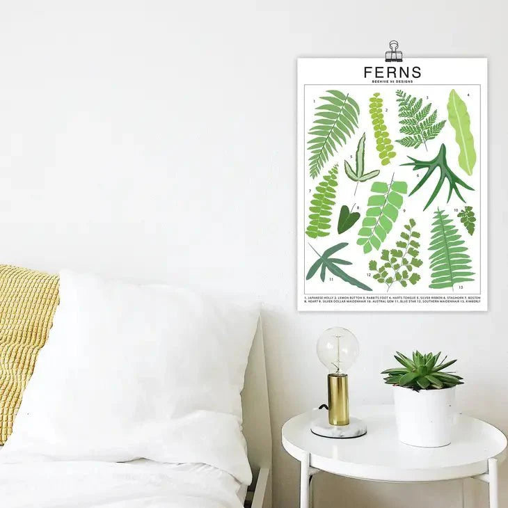  Ferns Species ID Chart - Botanical Houseplant Art Print