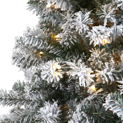  Flocked Rock Springs Spruce Tree | 6' Pre-Lit Artificial Christmas Tree