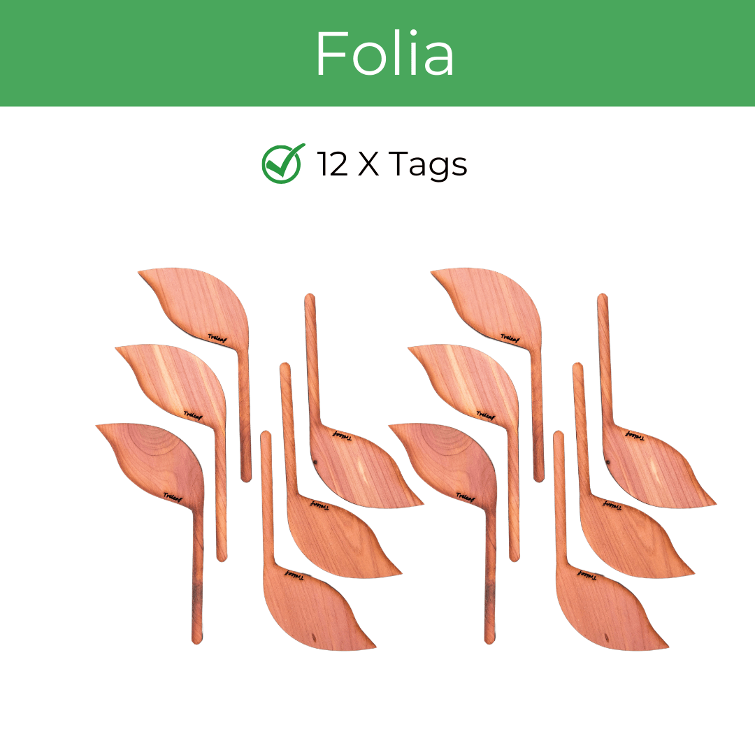  Folia – Wooden Leaf-Shaped Plant Tags (Set Of 12)