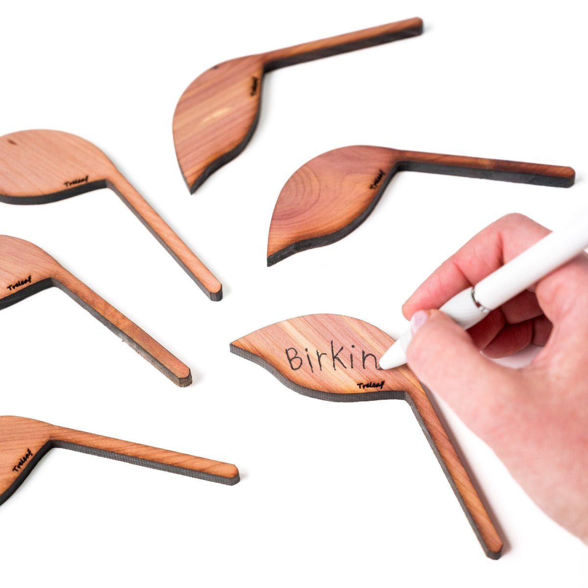  Folia – Wooden Leaf-Shaped Plant Tags (Set Of 12)