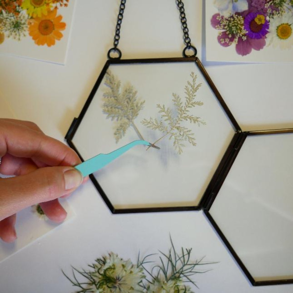  Framed Pressed Flowers Kit