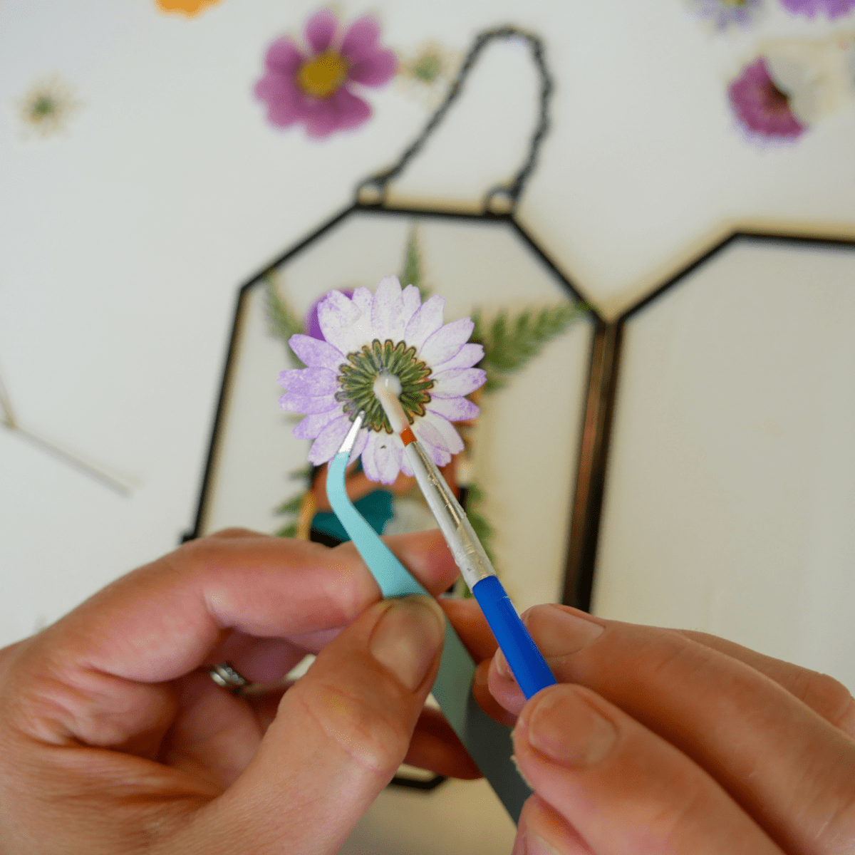  Framed Pressed Flowers Kit
