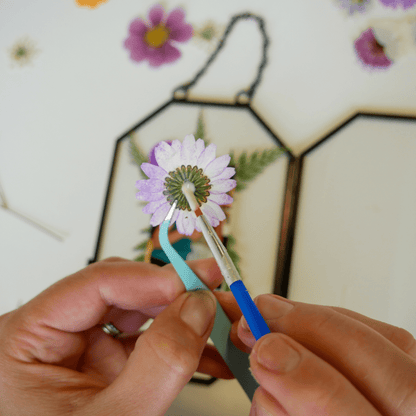  Framed Pressed Flowers Kit