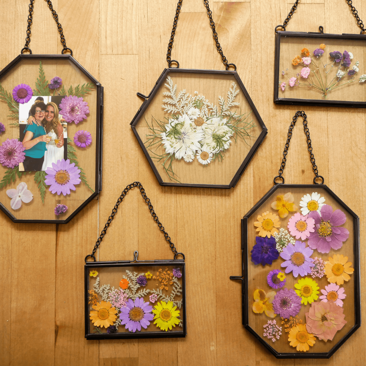  Framed Pressed Flowers Kit