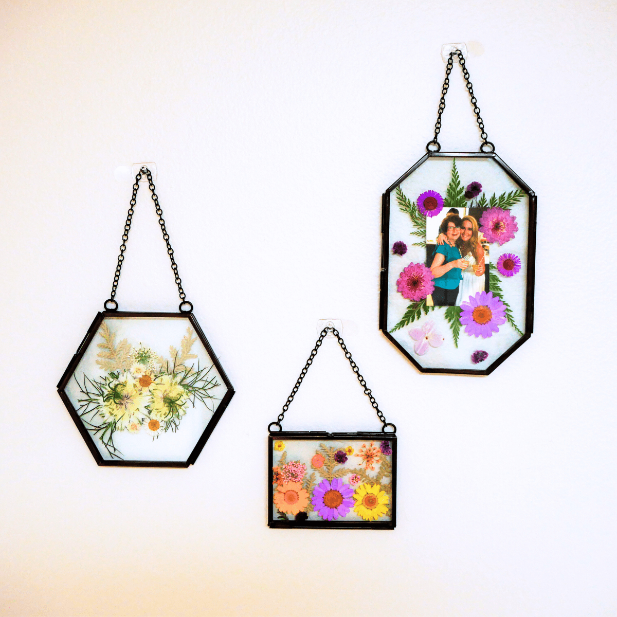  Framed Pressed Flowers Kit