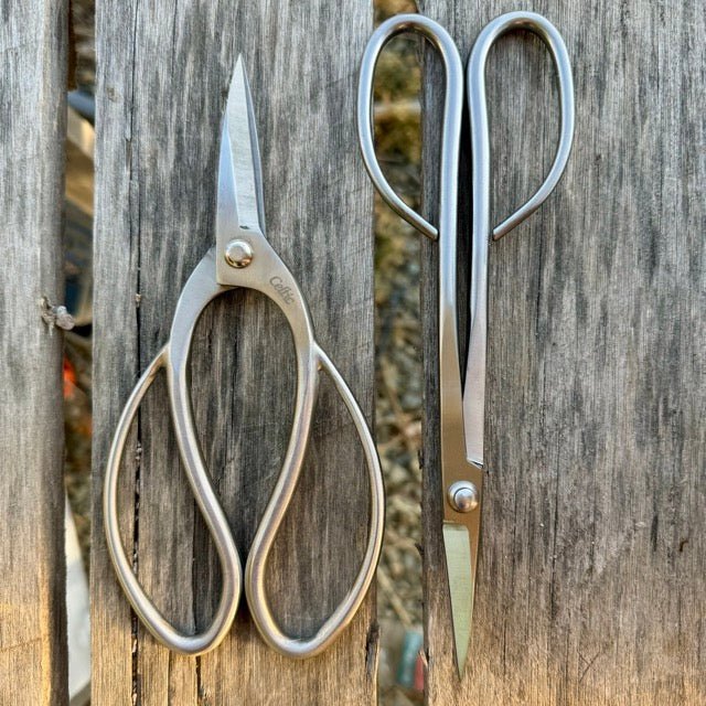  Garden Gift Box - Stainless Garden Scissor Set