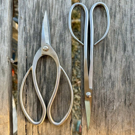  Garden Gift Box - Stainless Garden Scissor Set