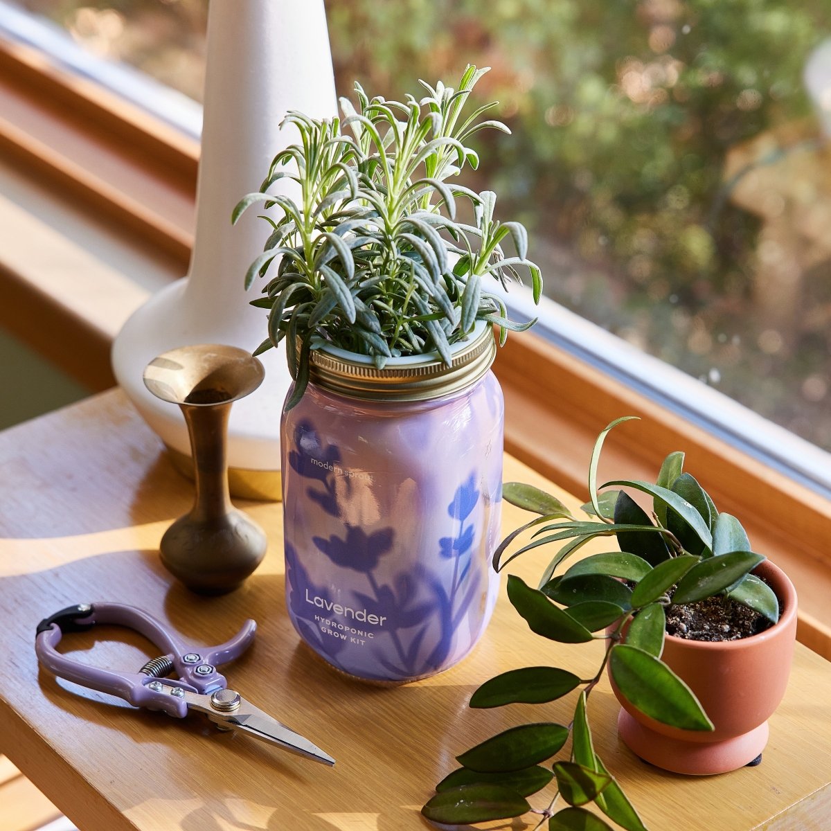  Garden Jars - Organic Herbs