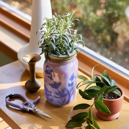  Garden Jars - Organic Herbs