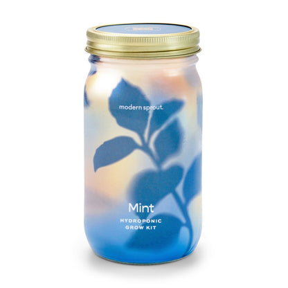  Garden Jars - Organic Herbs
