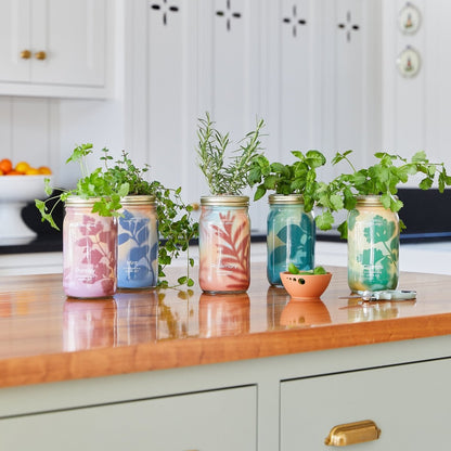  Garden Jars - Organic Herbs