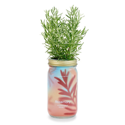  Garden Jars - Organic Herbs