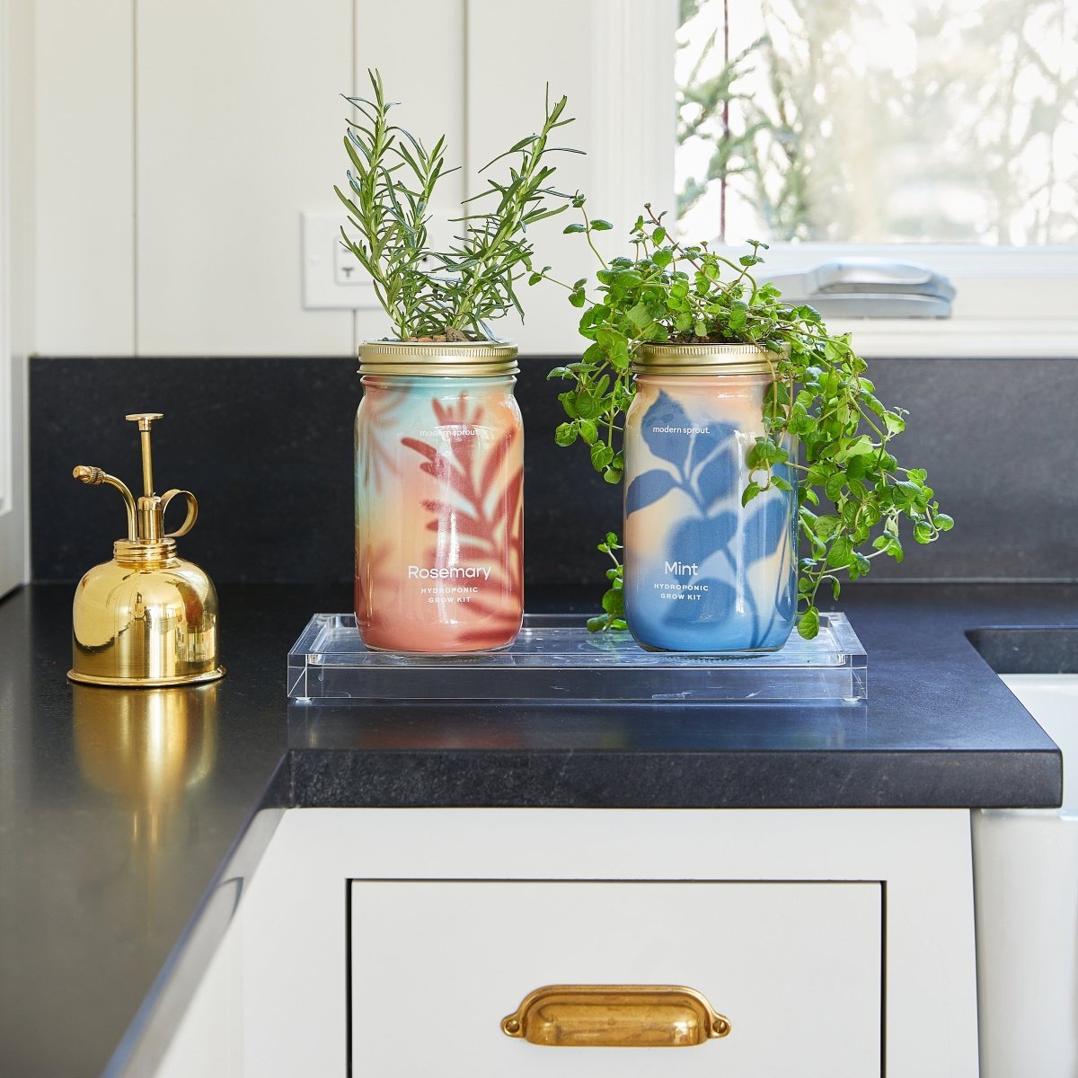  Garden Jars - Organic Herbs