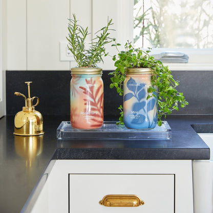  Garden Jars - Organic Herbs