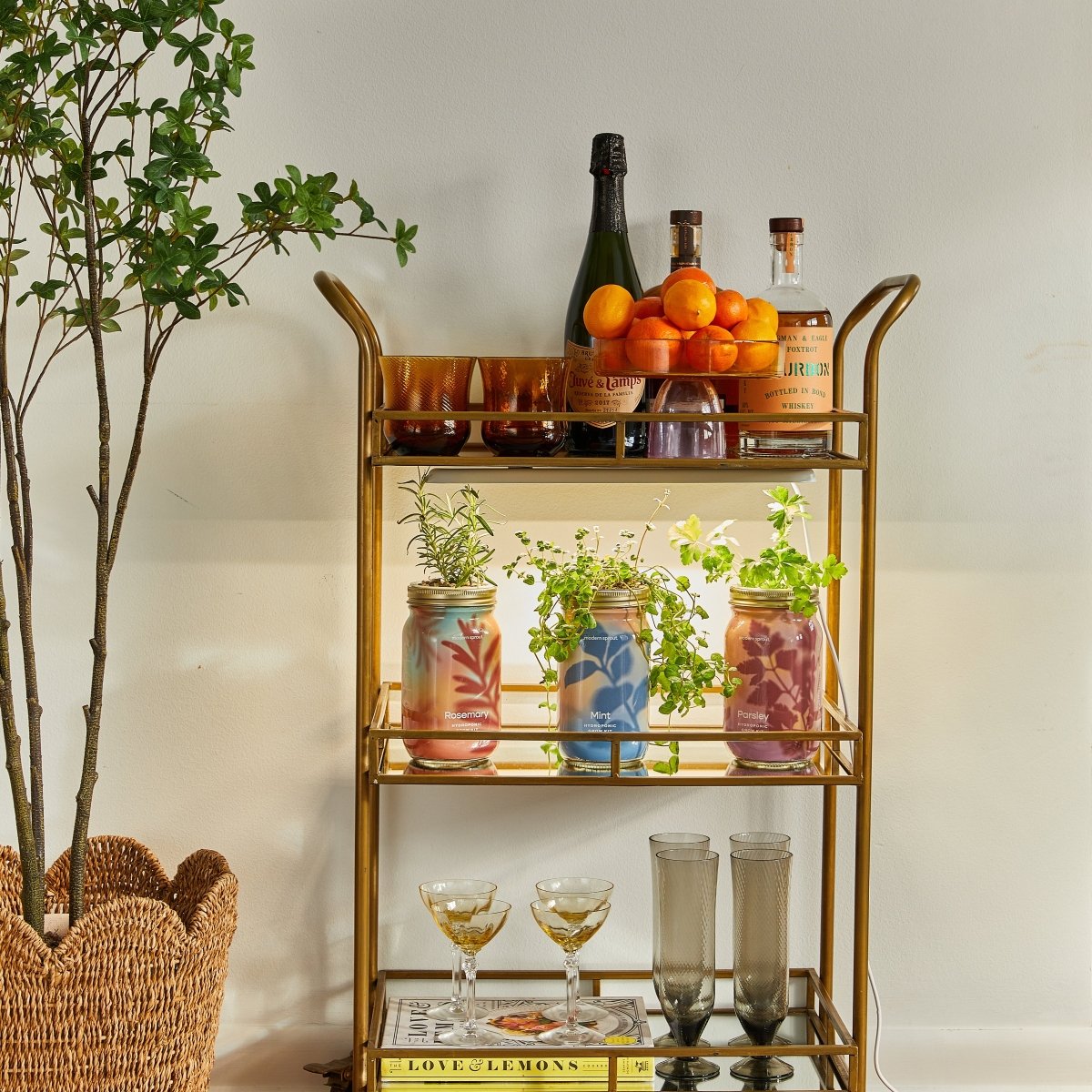  Garden Jars - Organic Herbs
