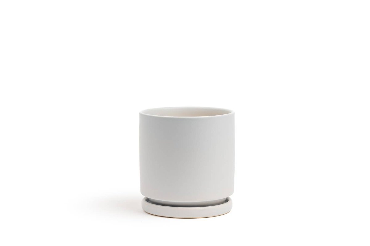  Gemstone Porcelain Planter Pot With Water Saucer 10.5 Inch