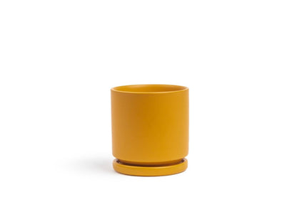  Gemstone Porcelain Planter Pot With Water Saucer 10.5 Inch
