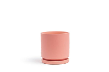  Gemstone Porcelain Planter Pot With Water Saucer 10.5 Inch