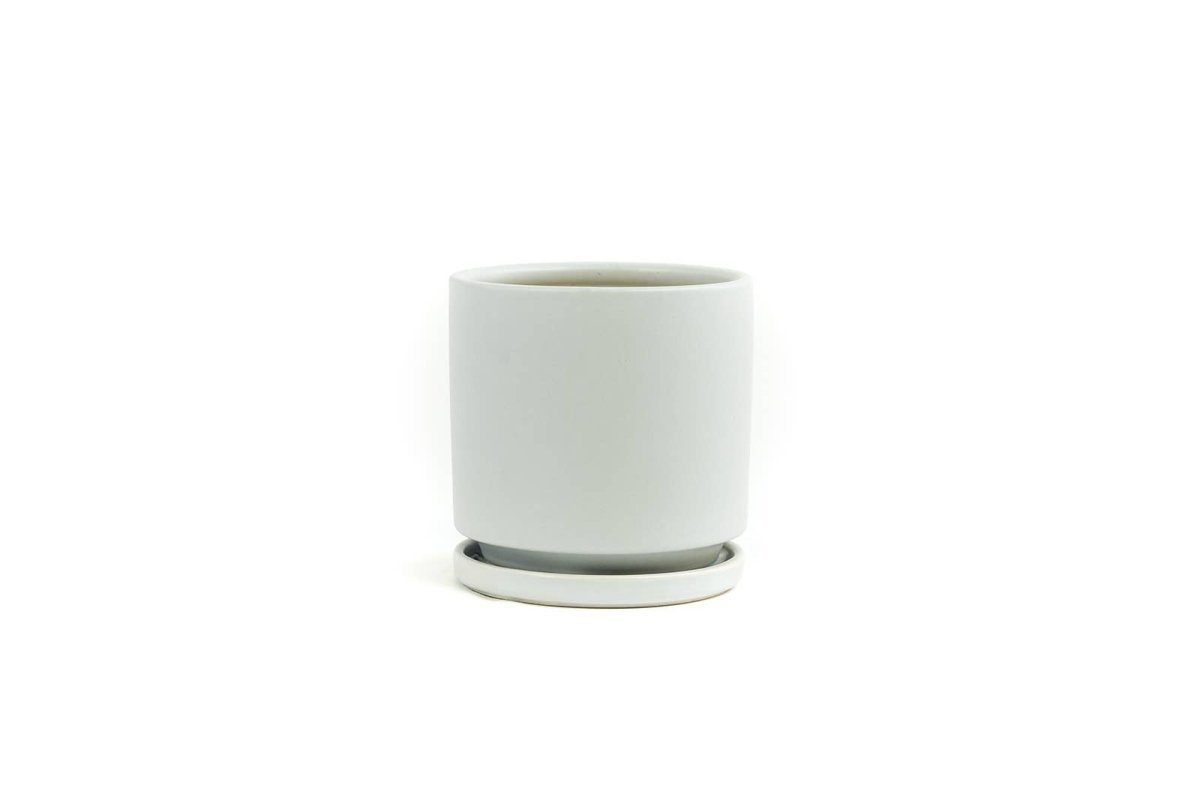  Gemstone Porcelain Planter Pot With Water Saucer 6.25 Inch