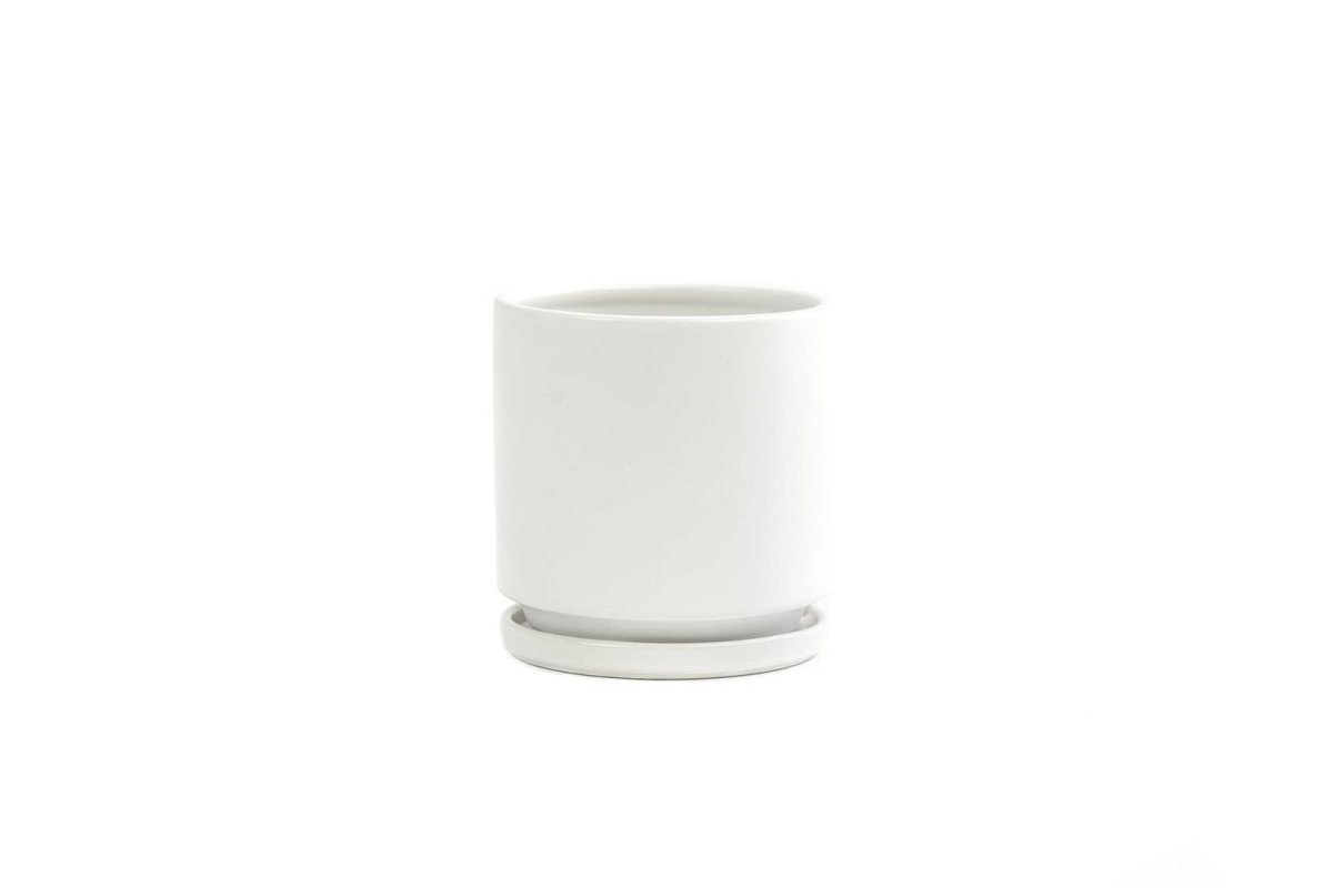  Gemstone Porcelain Planter Pot With Water Saucer 6.25 Inch
