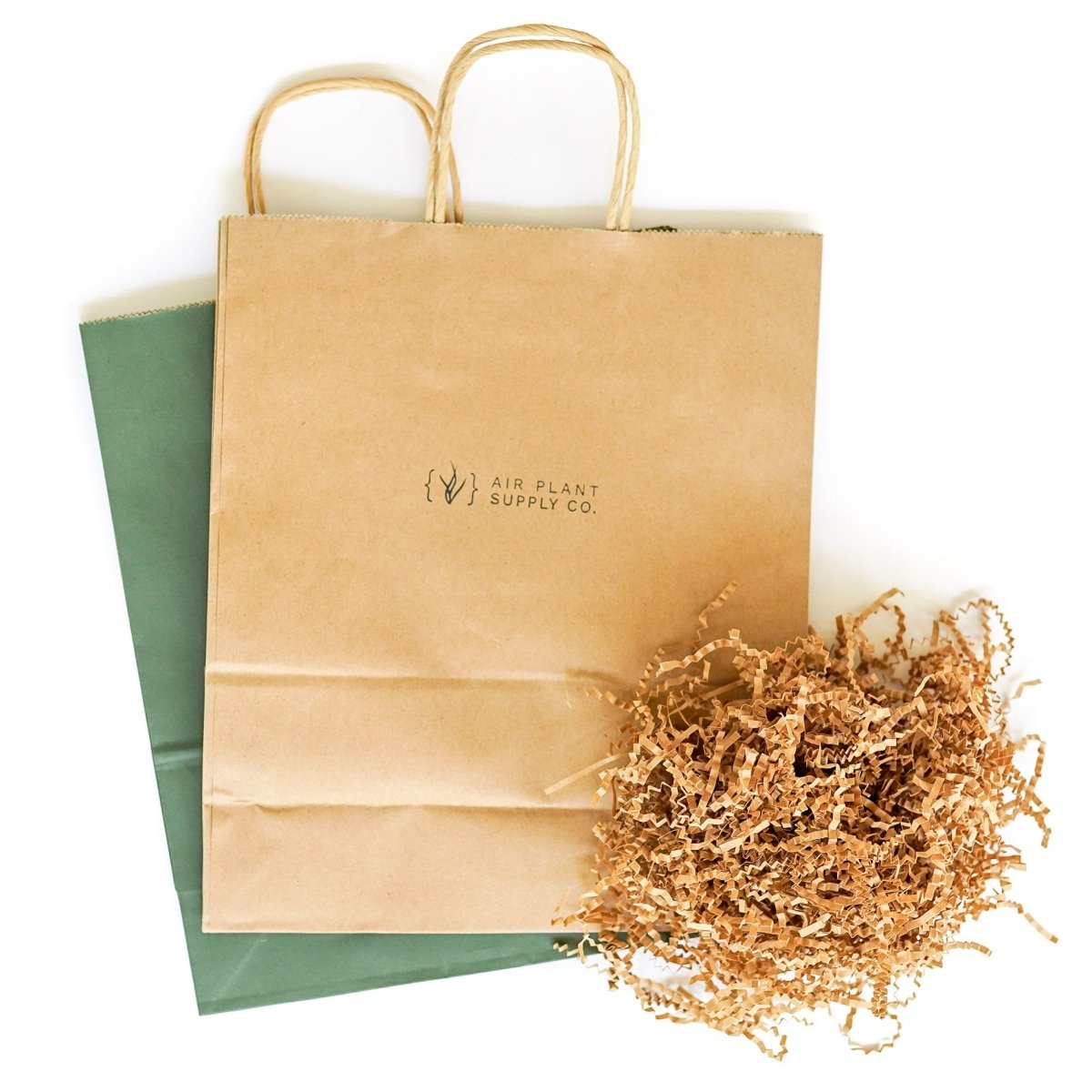  Gift Wrapped Tillandsia Xerographica