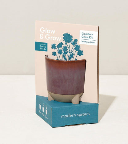  Glow & Grow Candle-to-Planter Kit – Basil, Daisies, Aloe, Or Spruce
