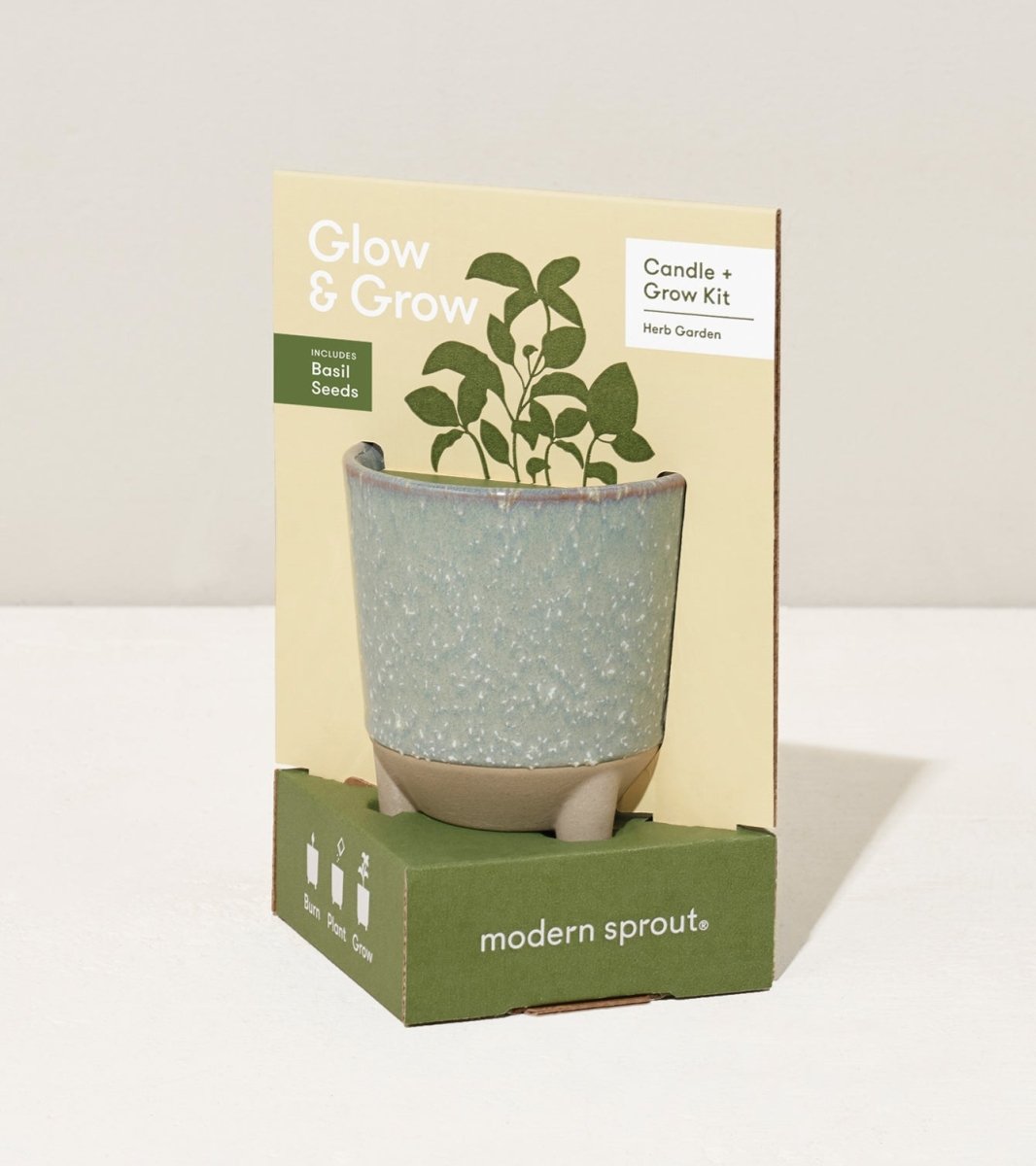  Glow & Grow Candle-to-Planter Kit – Basil, Daisies, Aloe, Or Spruce