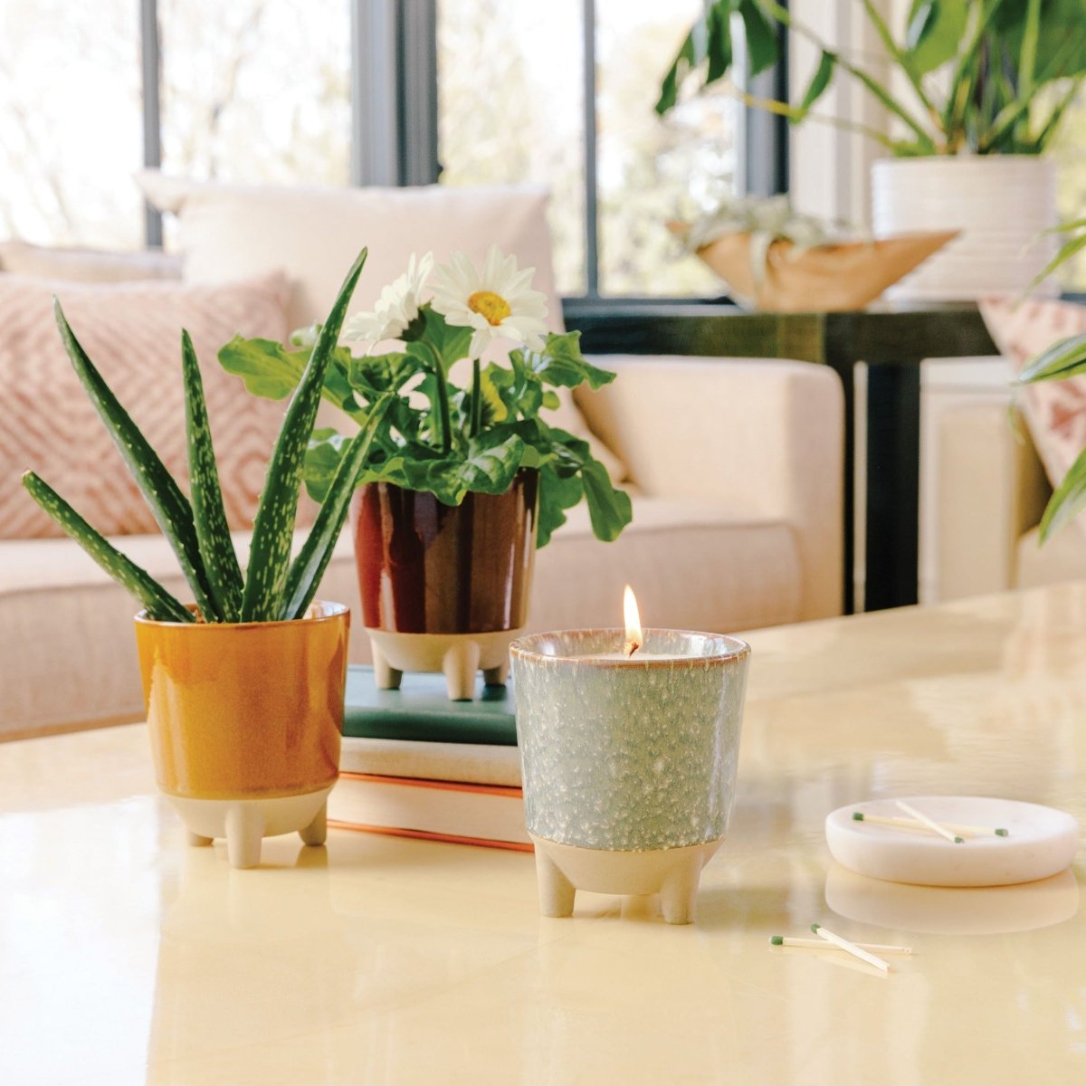  Glow & Grow Candle-to-Planter Kit – Basil, Daisies, Aloe, Or Spruce