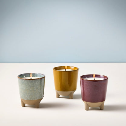  Glow & Grow Candle-to-Planter Kit – Basil, Daisies, Aloe, Or Spruce